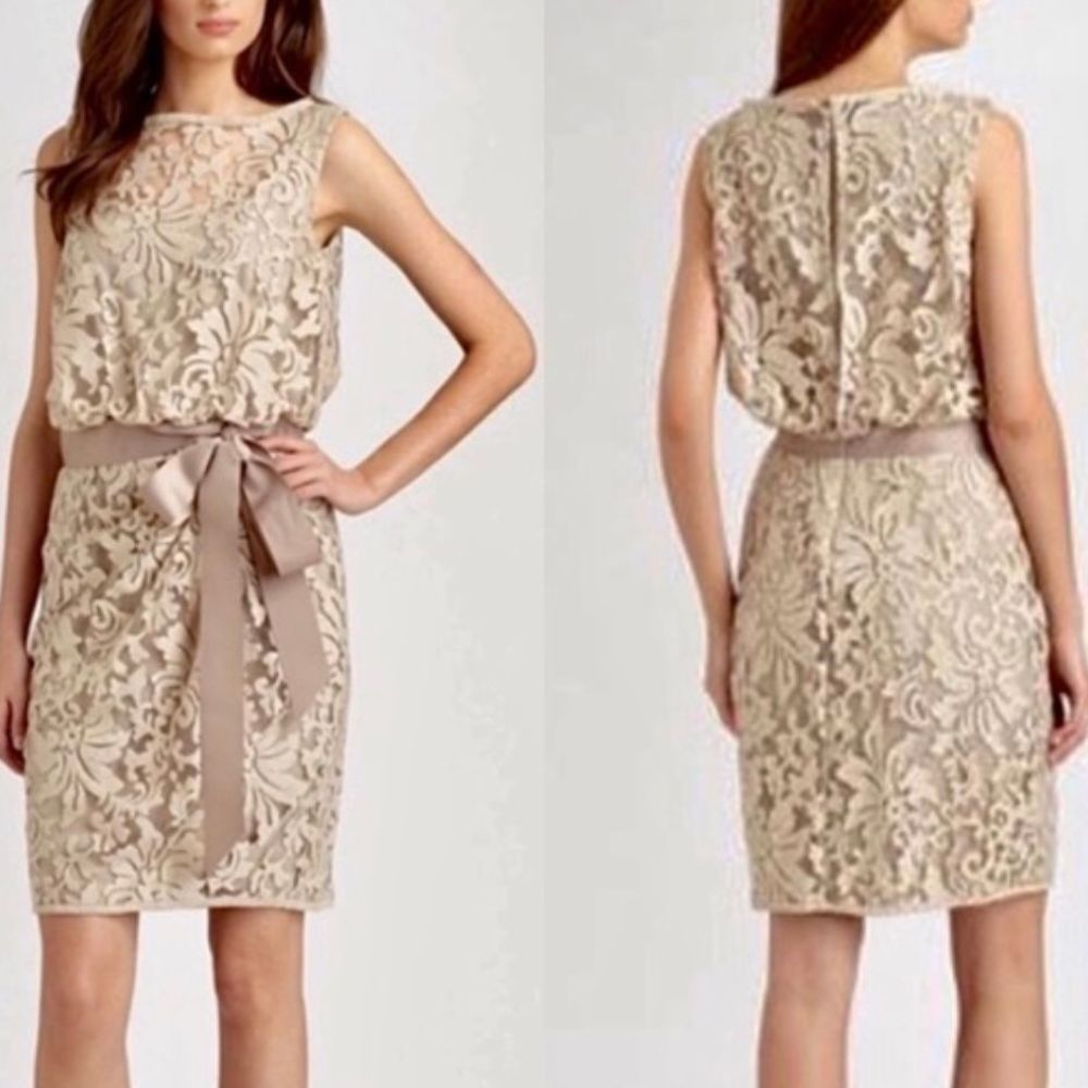 Tadashi shoji beige lace ribbon belted dress 2p